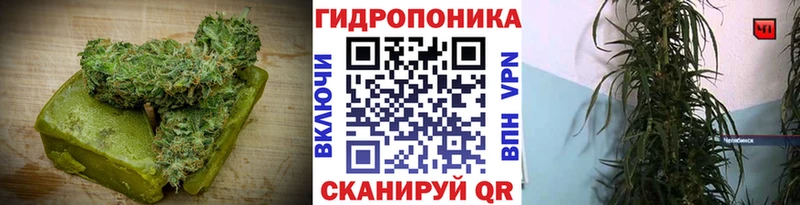 OMG маркетплейс  закладки  Оренбург  Еда ТГК конопля 