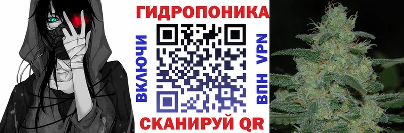 Бошки Шишки конопля  hydra онион  Оренбург 